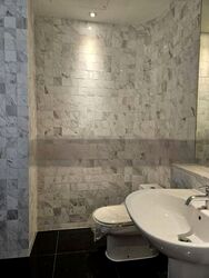The Colonnade (D10), Condominium #532321351